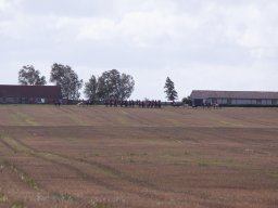 IMG_8460_web